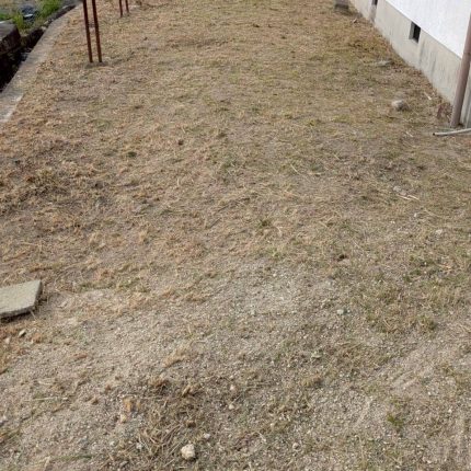廿日市市津田 除草作業